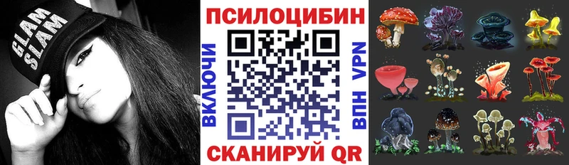 Галлюциногенные грибы Psilocybe наркотики darknet клад Кемерово